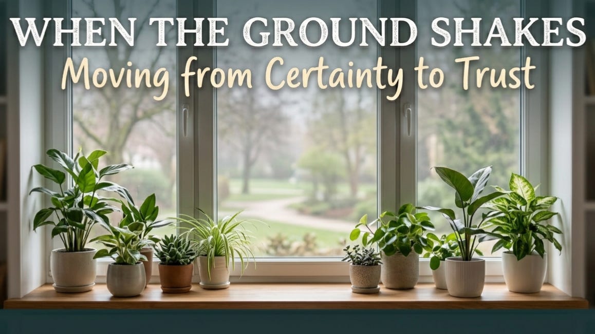 Potted plants on windowsill with garden view